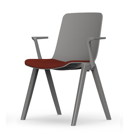 R30 with Arm Grey Frame