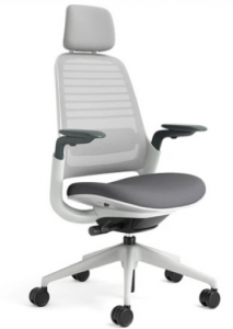 Steelcase Series 1 Ergonomic Chair - Should You Upgrade Your Workstation With Steelcase Ergonomics Chairs?